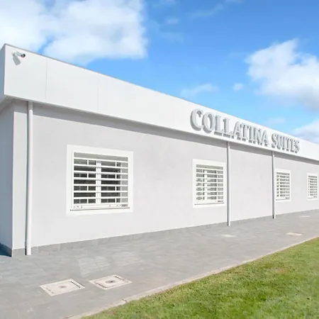 Collatina *
